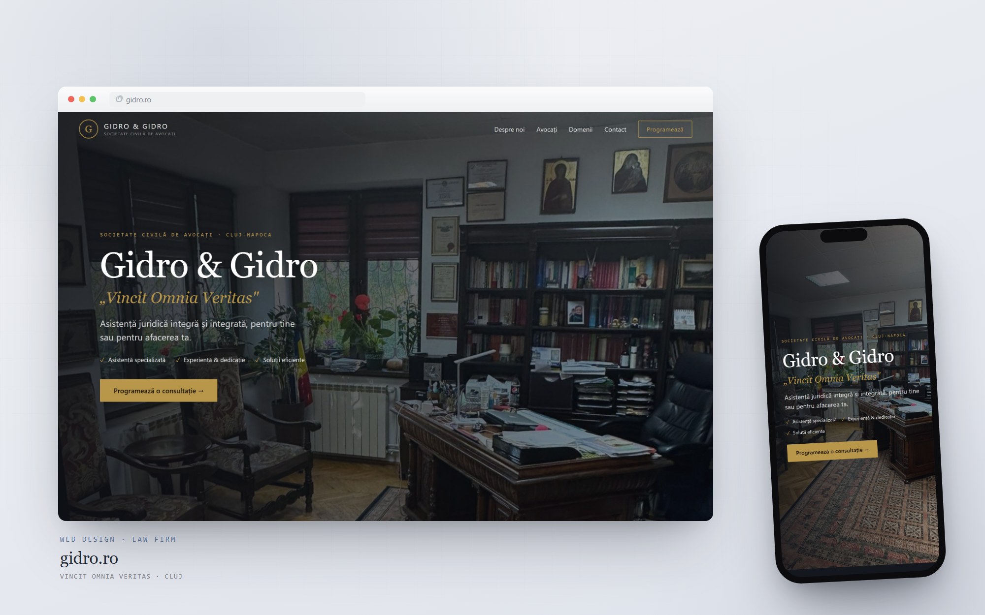 gidro.ro — the site Cittago designed and built, on desktop and mobile